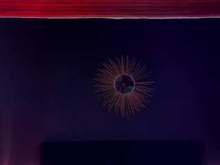 princesstina06's live room