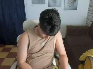 martin-lows webcam model