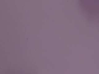 victoriabecker live cam preview