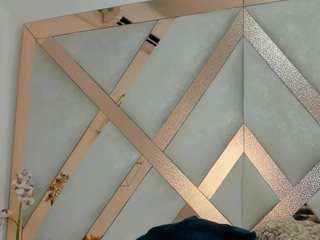 laiha-price webcam model