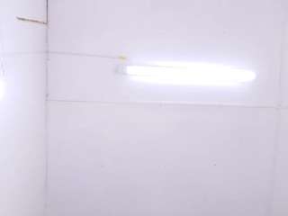 abby-pratt webcam