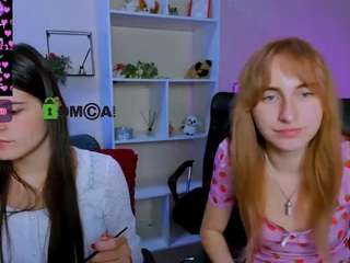 leslie-bird webcam model