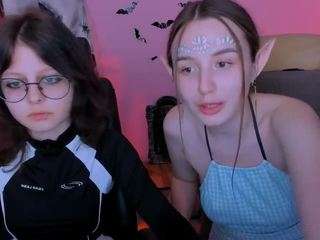 leslie-bird webcam