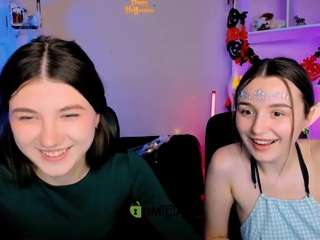leslie-bird webcam