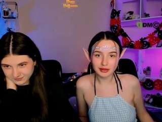 leslie-bird webcam