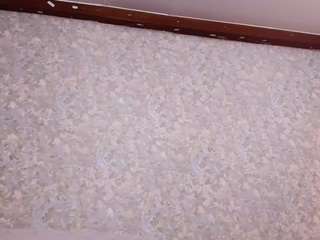  nico-ferrer chat room