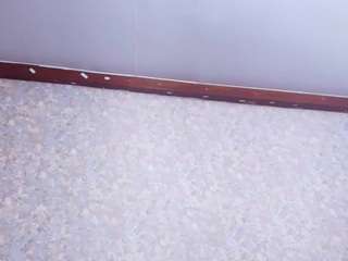  nico-ferrer chat room