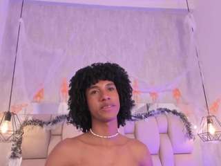 johan-gz webcam
