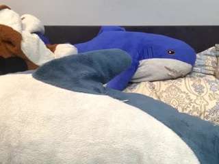 rosinamcwhirter webcam