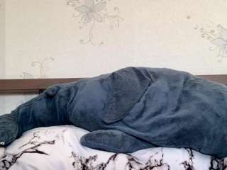 rosinamcwhirter's CamSoda show and profile