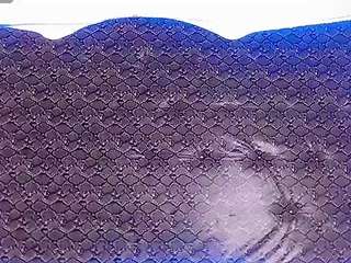 Live stream of dolly-dirty