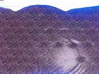 Live stream of dolly-dirty