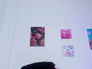 debbie-hans webcam