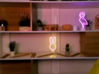 isla-dior webcam model