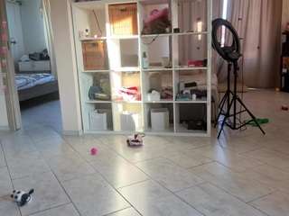 chloe-show