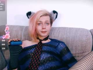 Felixpinkcat