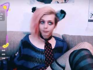 Felixpinkcat