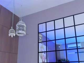 saraycollins live webcam show