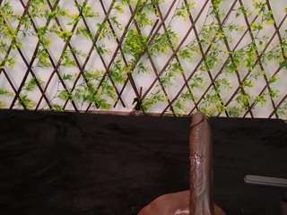 isabella3020 live webcam show