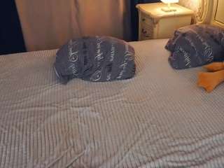 susannenavarrete's CamSoda show and profile