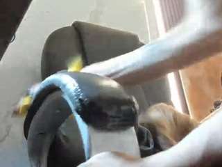 milasex