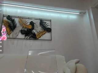 vikafever webcam