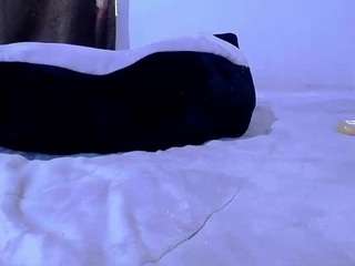 bambylu Live Webcam on CamSoda