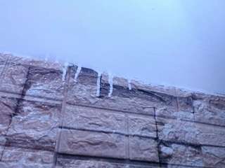 honeypussybiz webcam