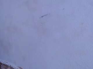 honeypussybiz webcam