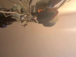 mikeyjoe1456 webcam model