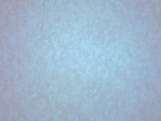 alahia-lee webcam