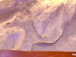 lissafeniix Live Webcam on CamSoda