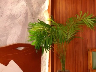 lissafeniix Live Webcam on CamSoda