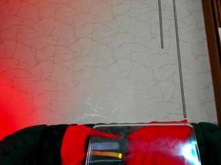 tinyvixen webcam model