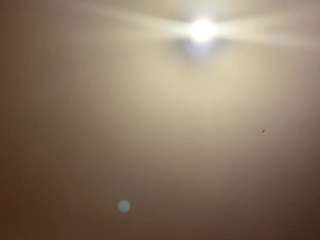 chloeallen webcam