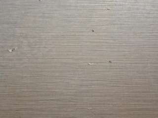  madelineking chat room