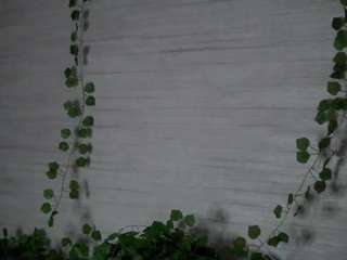 marcysantana webcam model