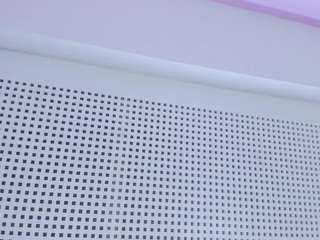 pamelaaevans webcam model