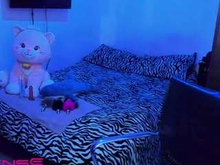 lillykittyy 1 live webcam