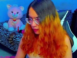 lillykittyy