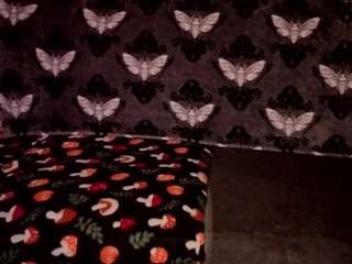 Ambielicious live cam preview