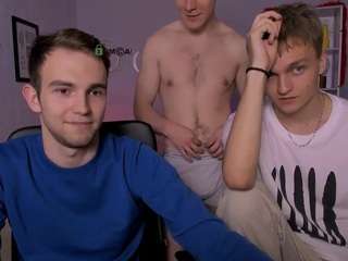 astren-villo webcam