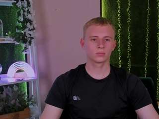 astren-villo