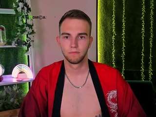 astren-villo