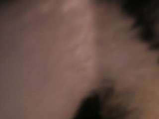 elenna-salvatoree webcam model