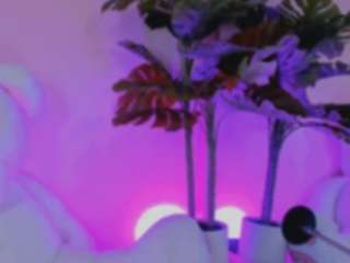 kim-rosse webcam