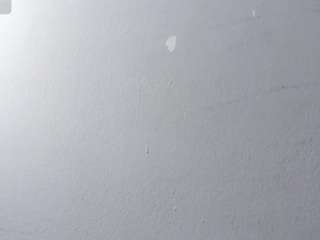 scarletevanss webcam