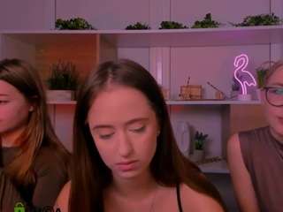 sendi-cais webcam