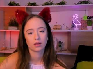 sendi-cais webcam