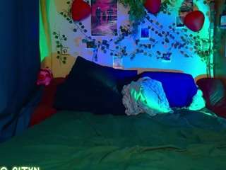 tricky-kitsune webcam